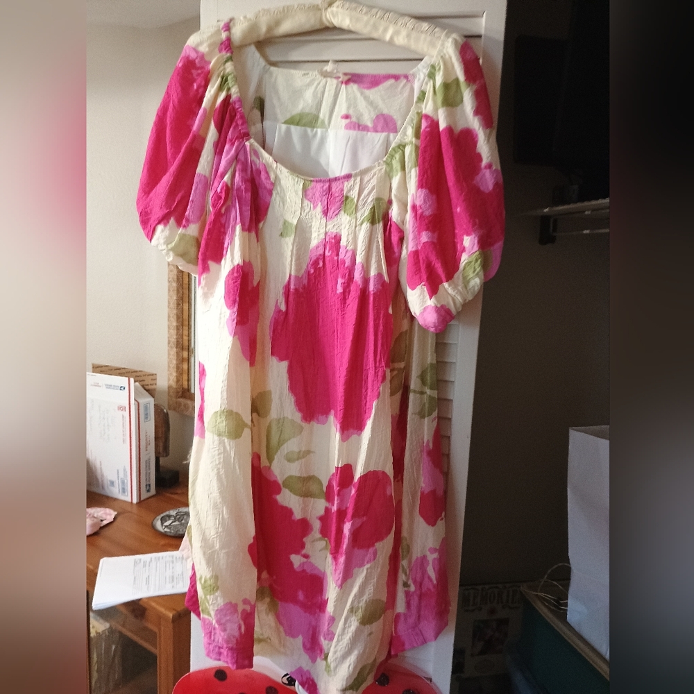 Umgee Pink and Cream Floral Dress